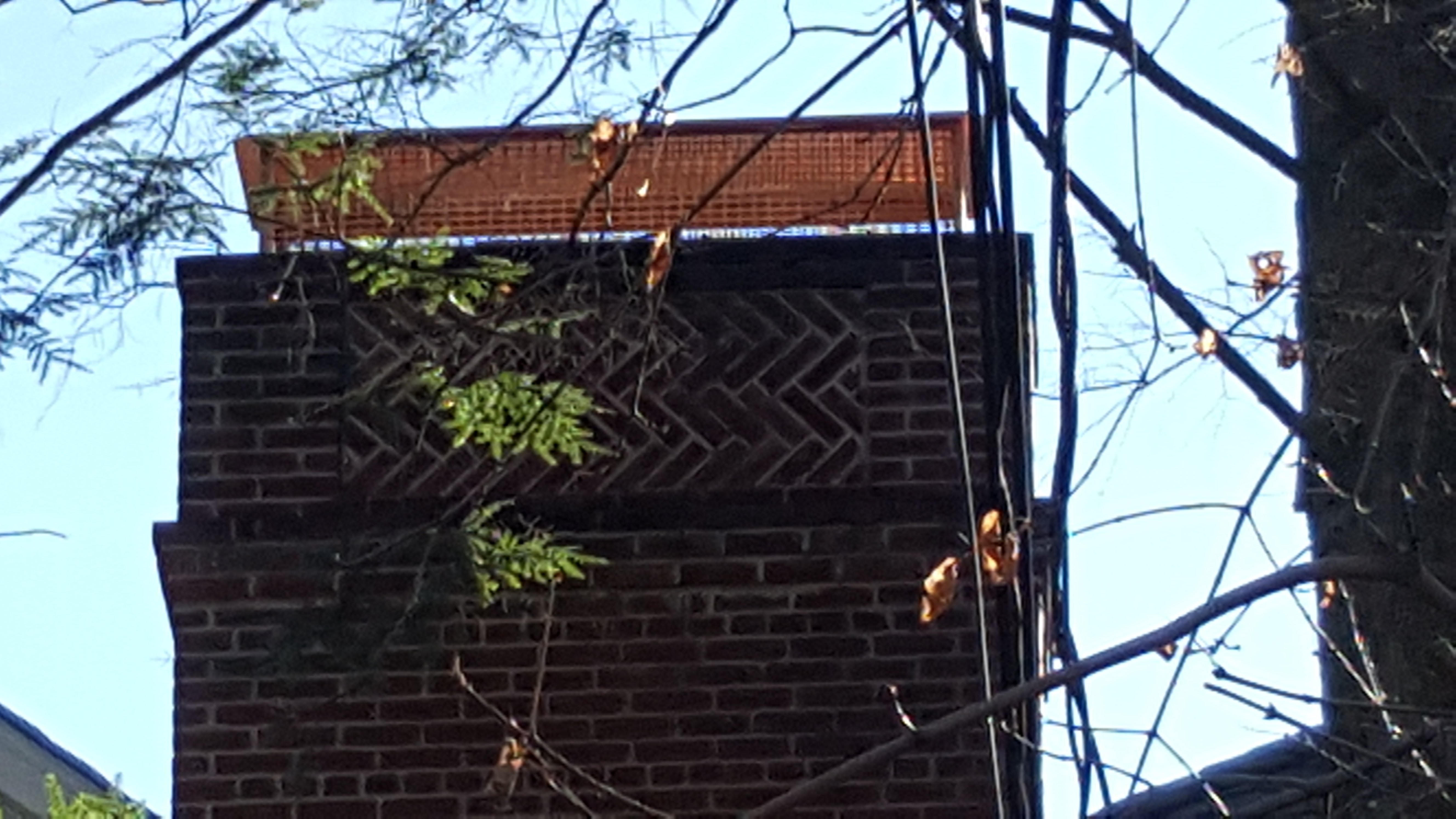 Animal-proof chimney cap protecting home in Massapequa, New York